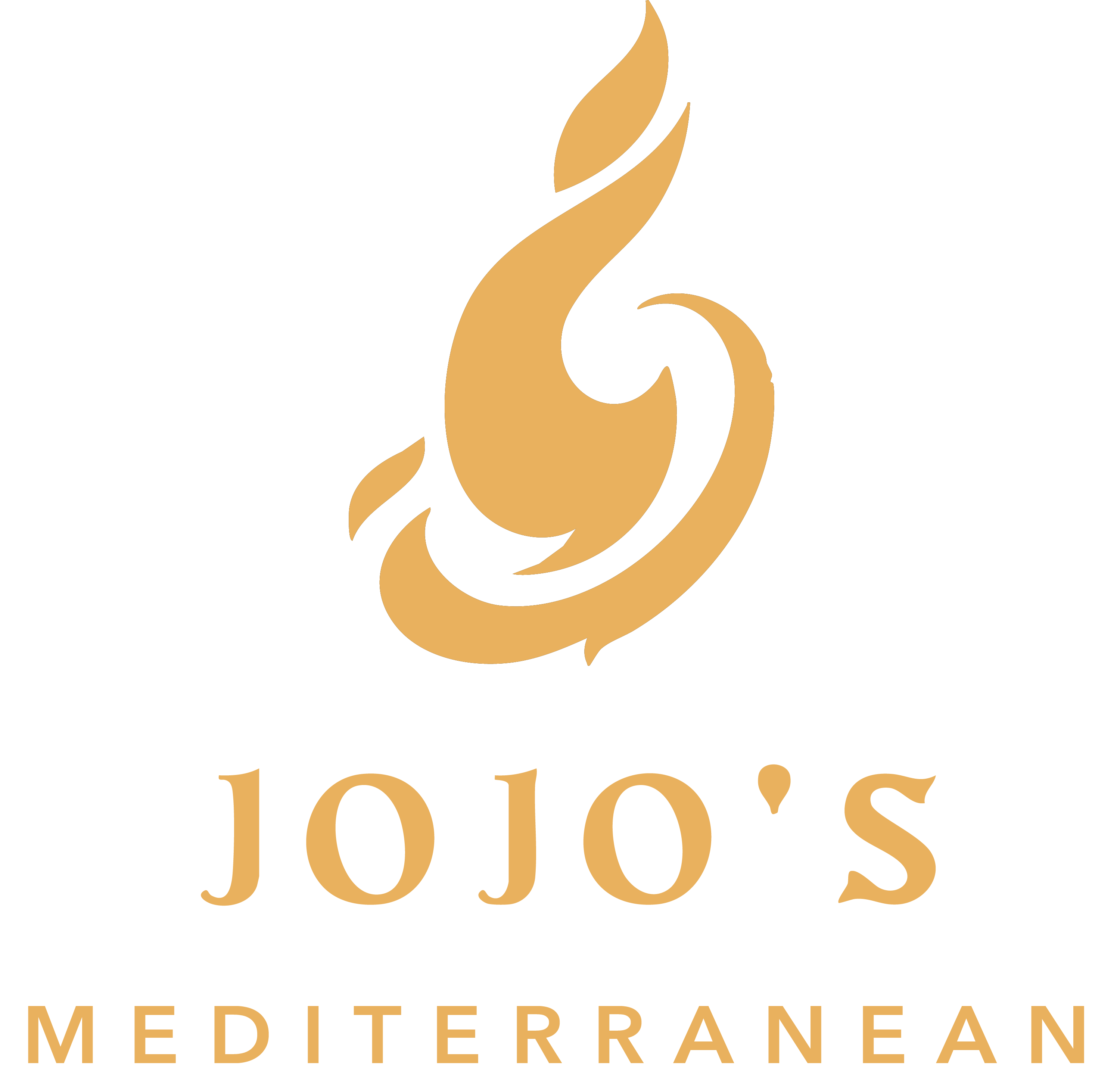 JoJo’s Mediterranean Grill